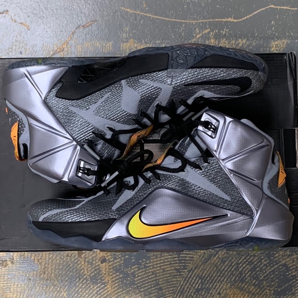 lebron 12 flight